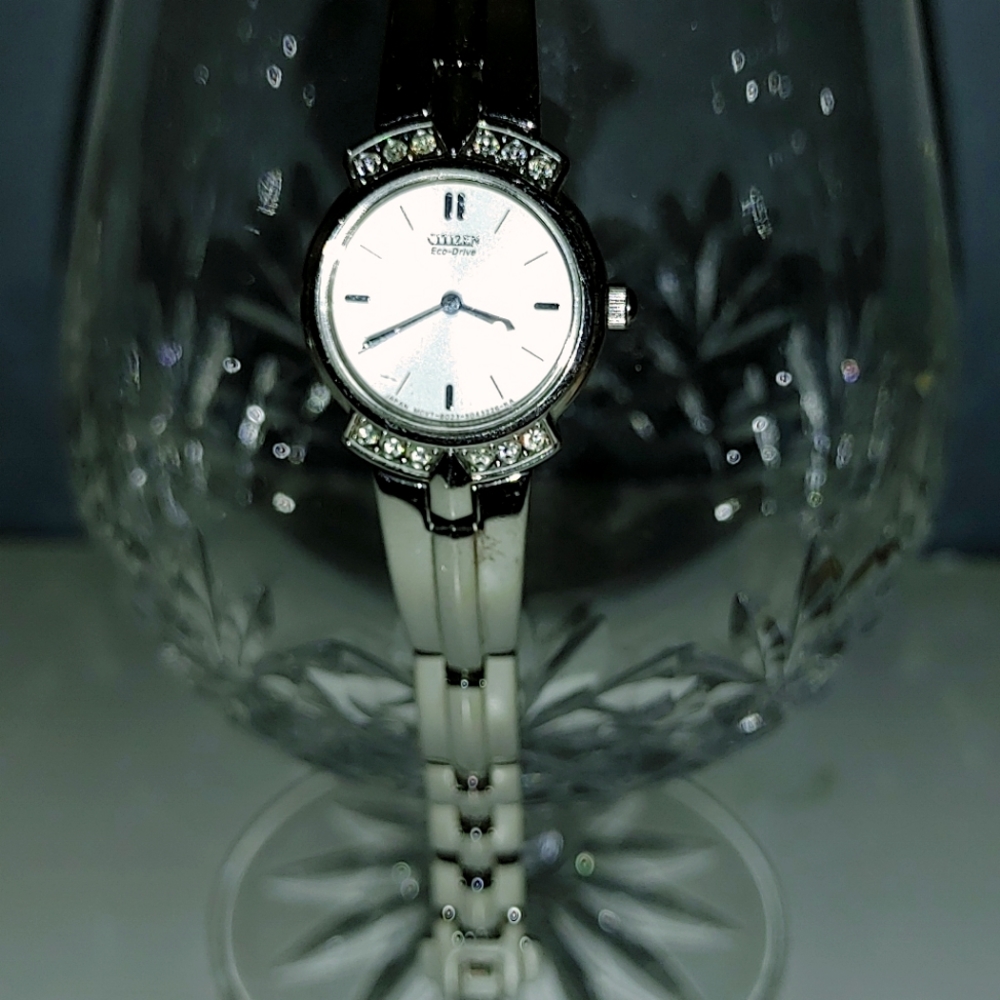 Citizen Watch